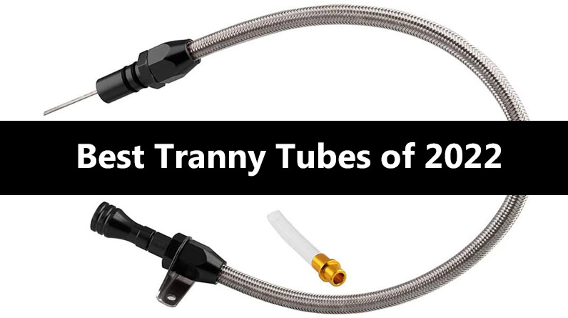 Best Tranny Tubes of 2022